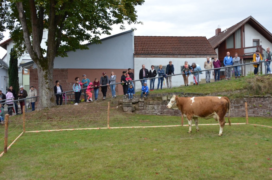 Wombach 700 Jahre - Bild 101