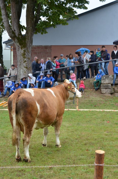 Wombach 700 Jahre - Bild 110