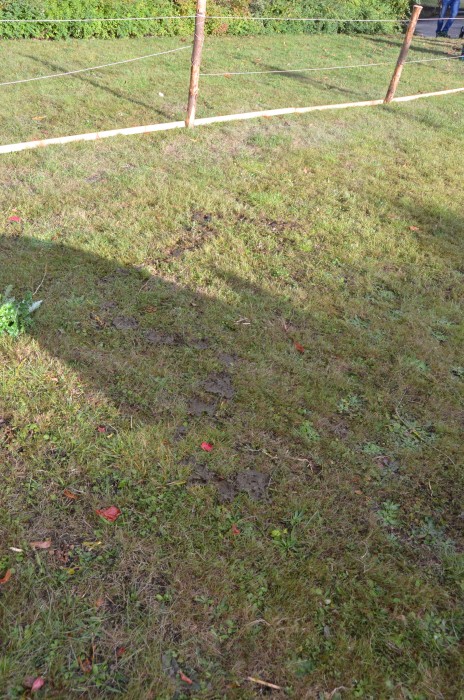 Wombach 700 Jahre - Bild 111