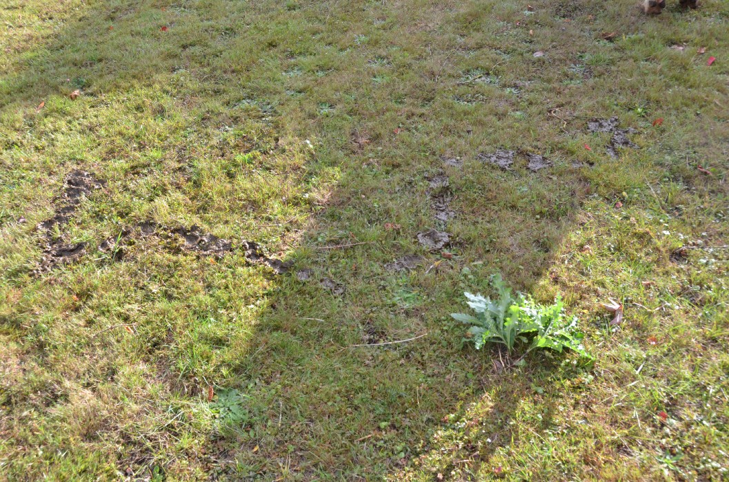 Wombach 700 Jahre - Bild 112