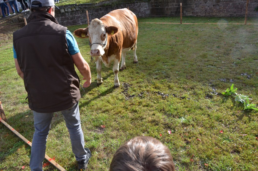 Wombach 700 Jahre - Bild 114