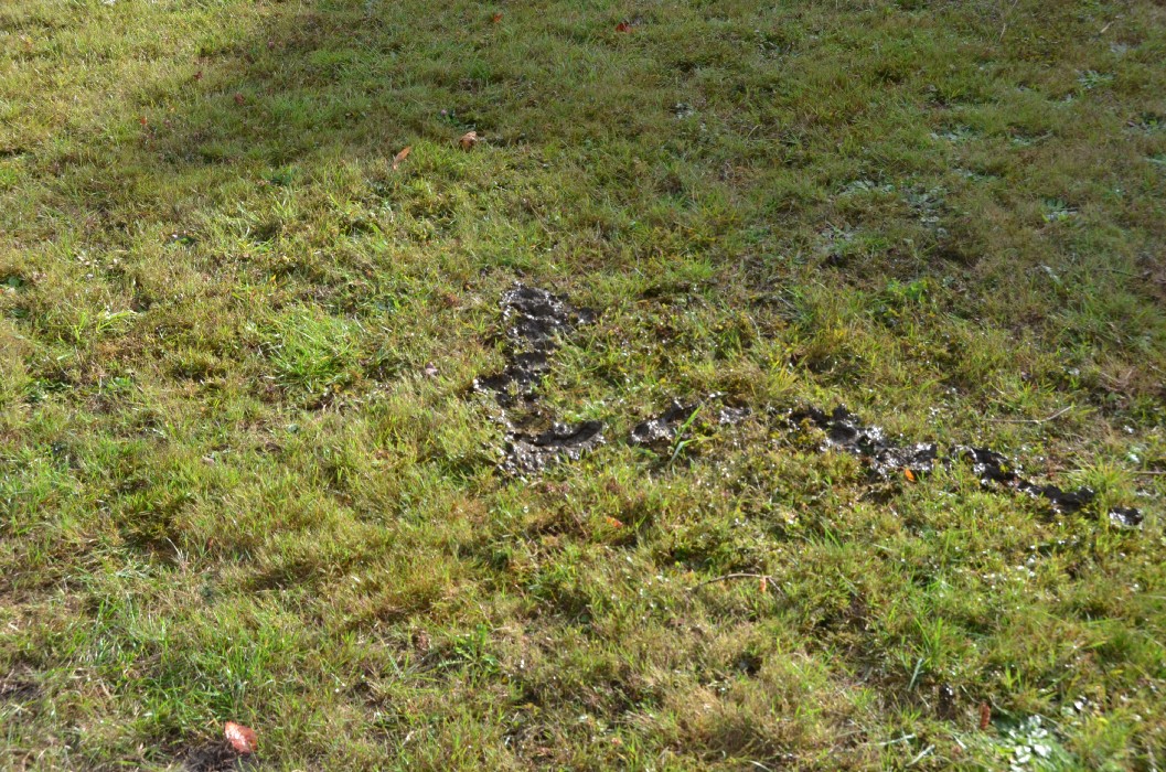 Wombach 700 Jahre - Bild 115