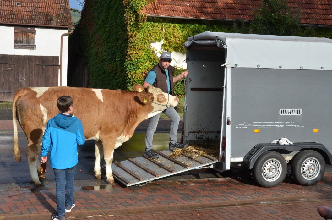 Wombach 700 Jahre - Bild 116