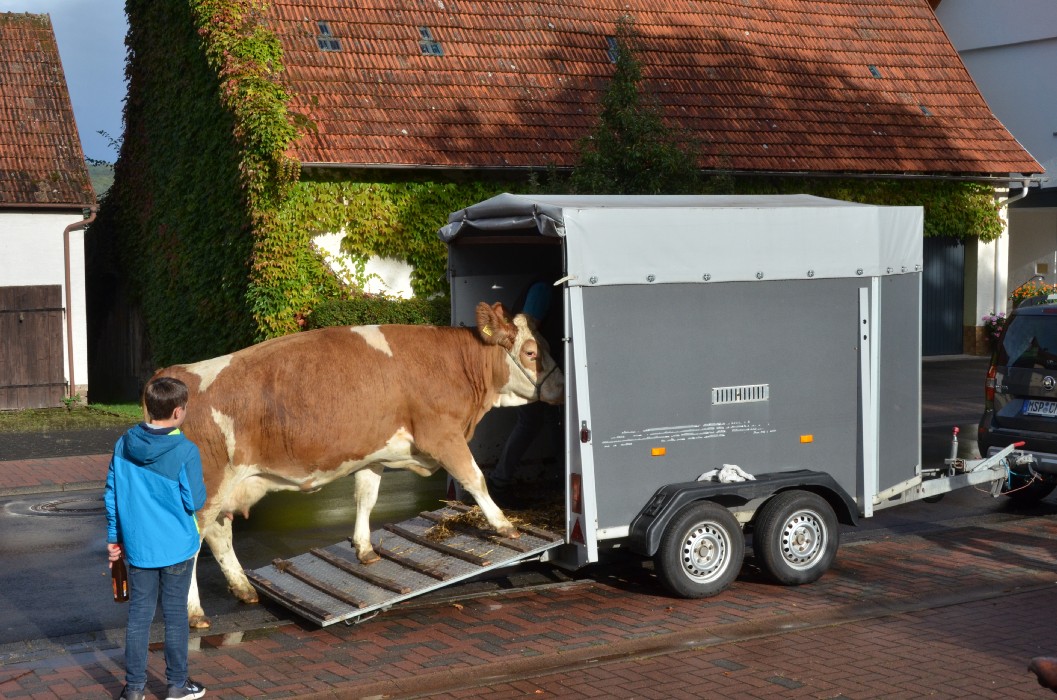 Wombach 700 Jahre - Bild 117