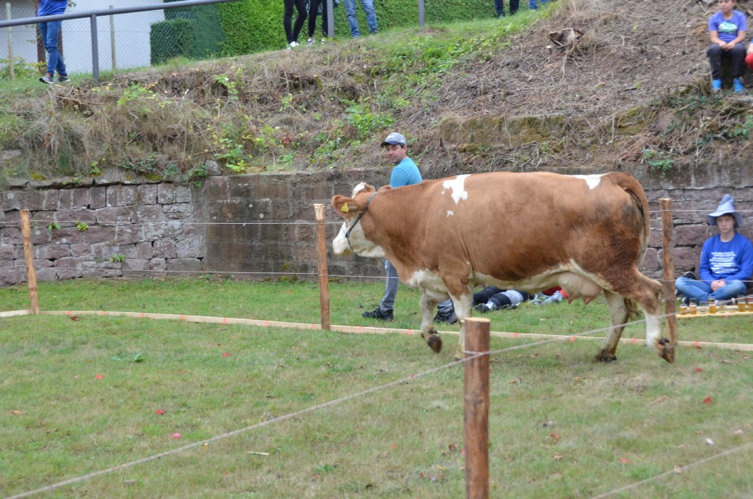 Wombach 700 Jahre - Bild 97