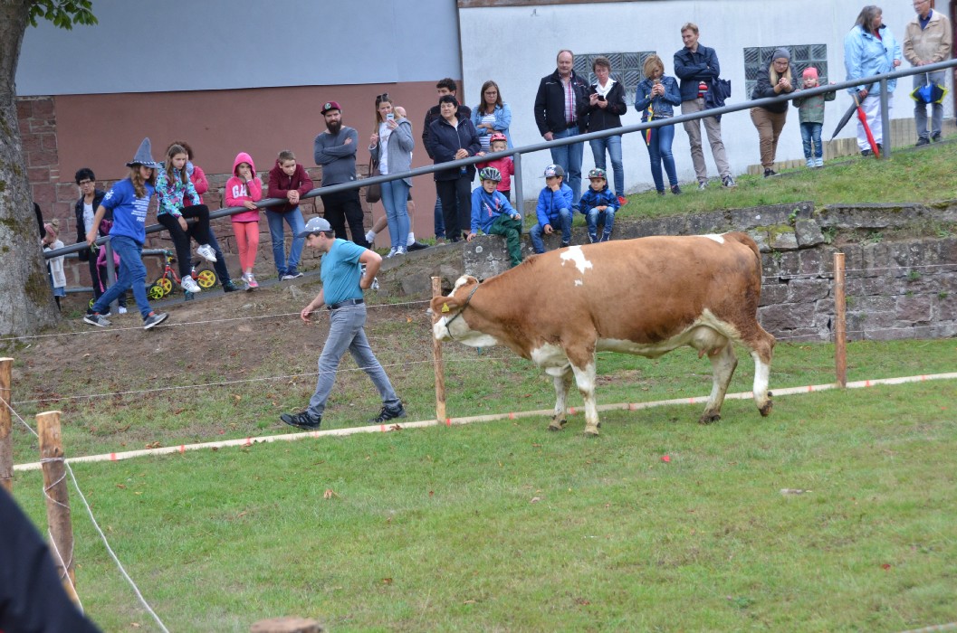 Wombach 700 Jahre - Bild 98