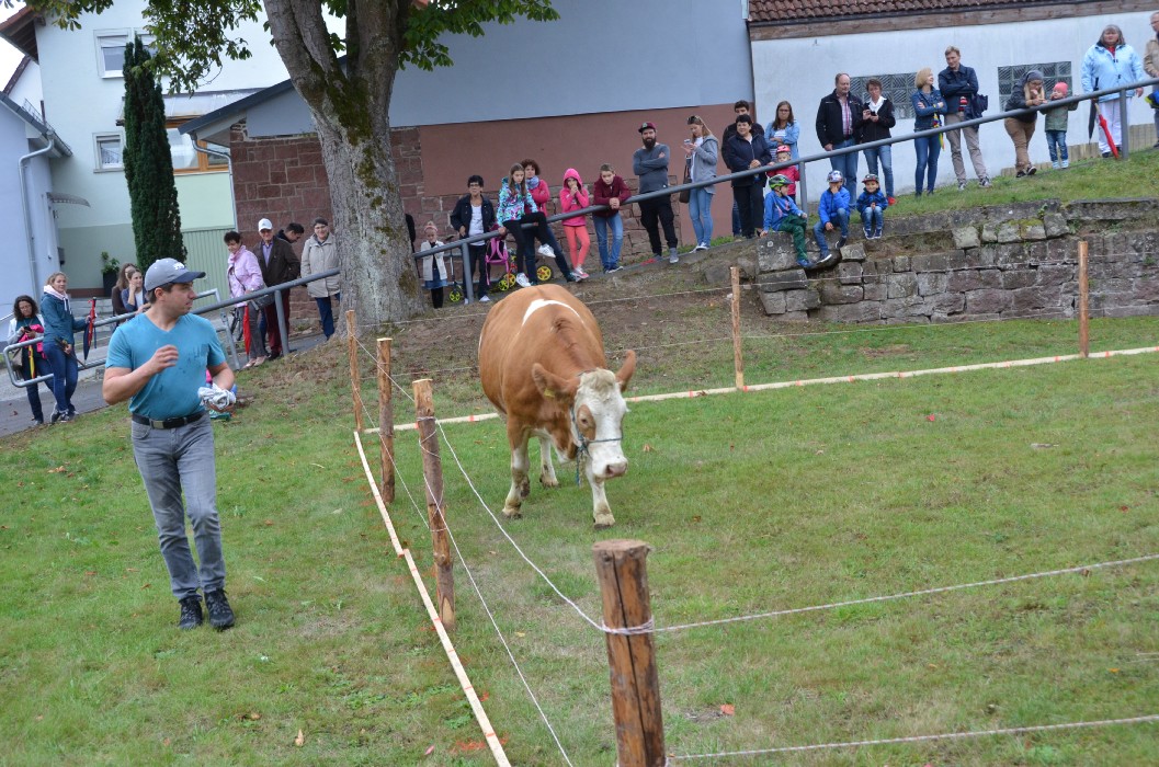 Wombach 700 Jahre - Bild 99