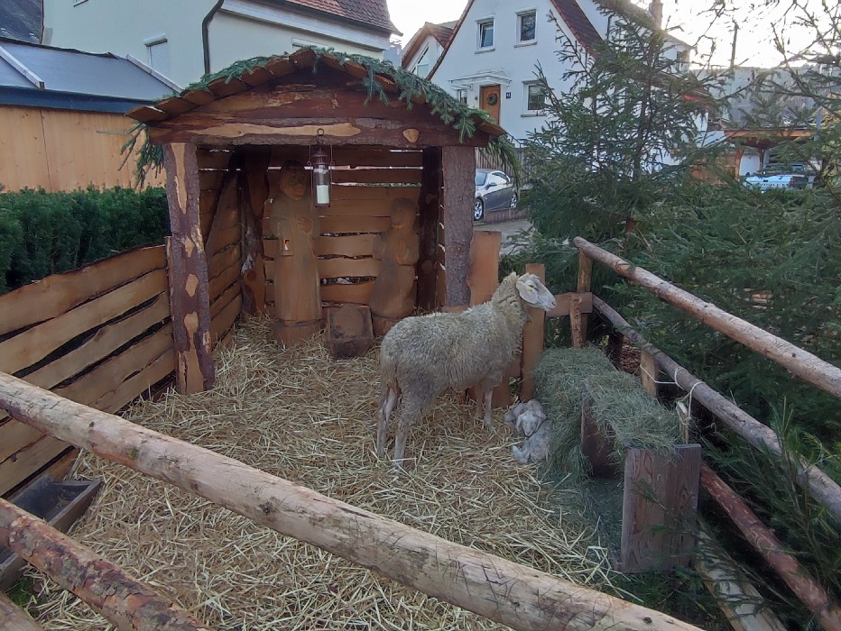 Weihnachtsmarkt in Wombach
