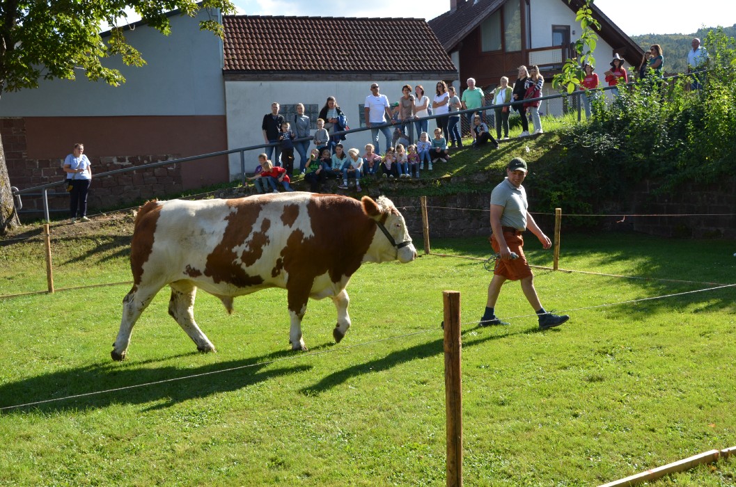 Kirb in Wombach