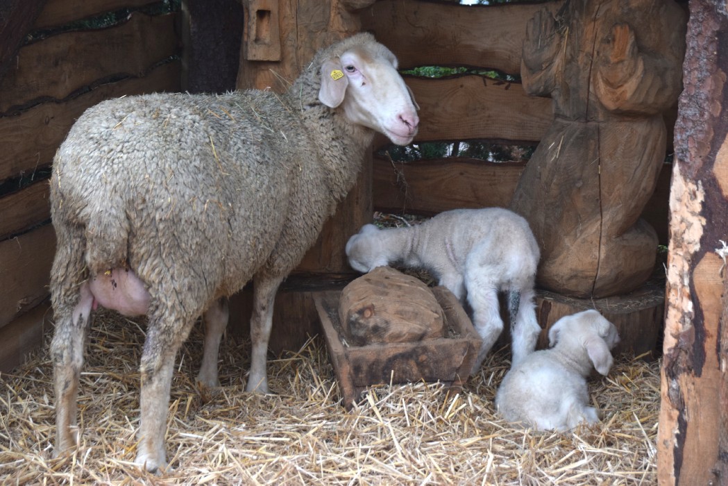 Wombach 700 Jahre - Bild 29