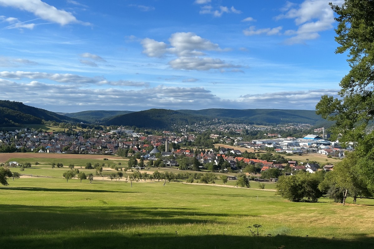 mein Wombach, Panorama - Foto Walter Siegler